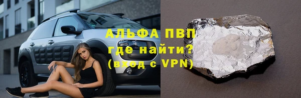 индика Беломорск